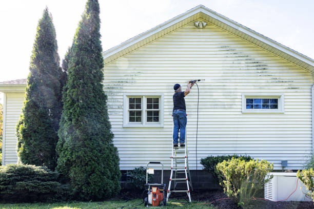 Best House Pressure Washing  in Galena, IL
